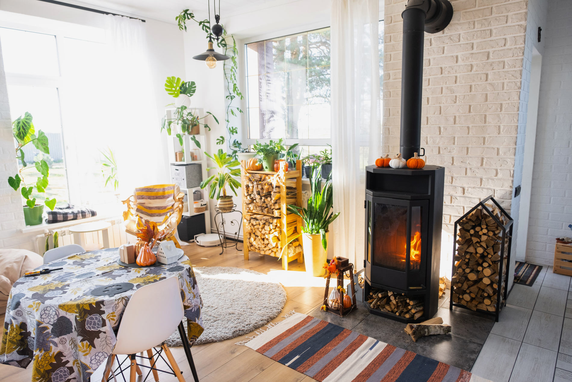 Scandinavian home interior